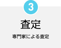 査定 専門家による査定